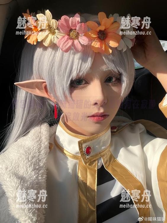 图包揭秘：腥味猫罐的美足是如何在寂静中绽放光彩的？
